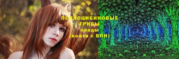 Альфа ПВП Армянск